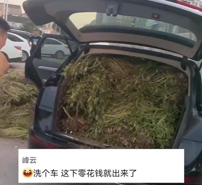 一男子开豪车给母亲拉白菜,山东男子开豪车给母亲拉废品