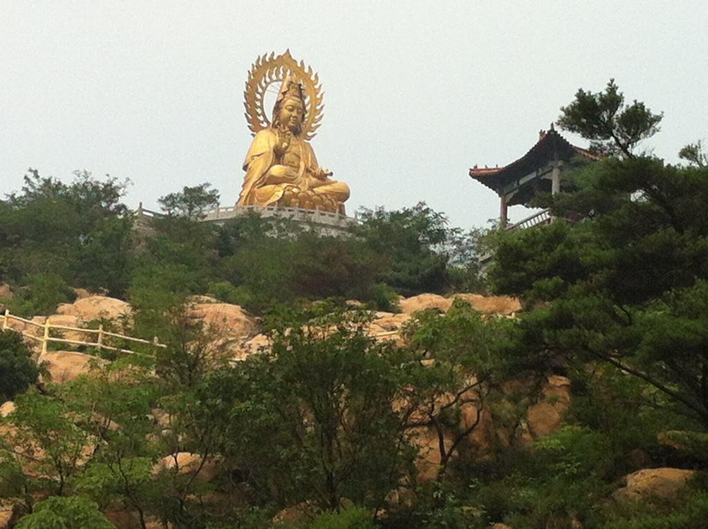 山东车牌号城市代号顺口溜,山东17个地级市车牌号