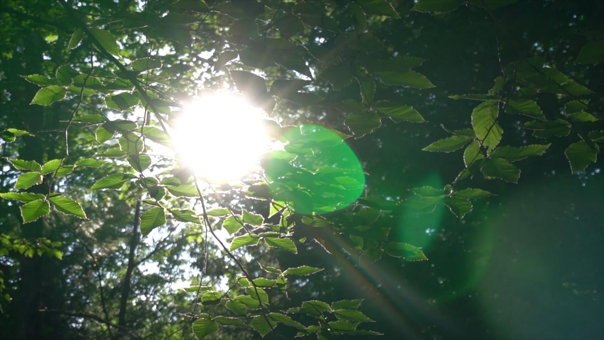 和钢铁直男谈恋爱要注意什么,和钢铁直男谈恋爱是什么体验