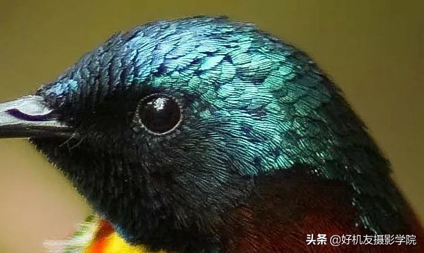 照片灰蒙蒙的怎么拍,照片灰蒙蒙的怎么变清新