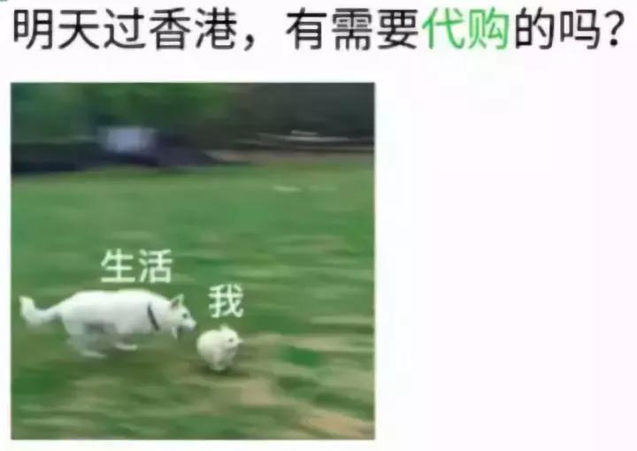 缇庡浗浠ｈ喘澶╁爞,灞变笢浠ｈ喘澶╁爞