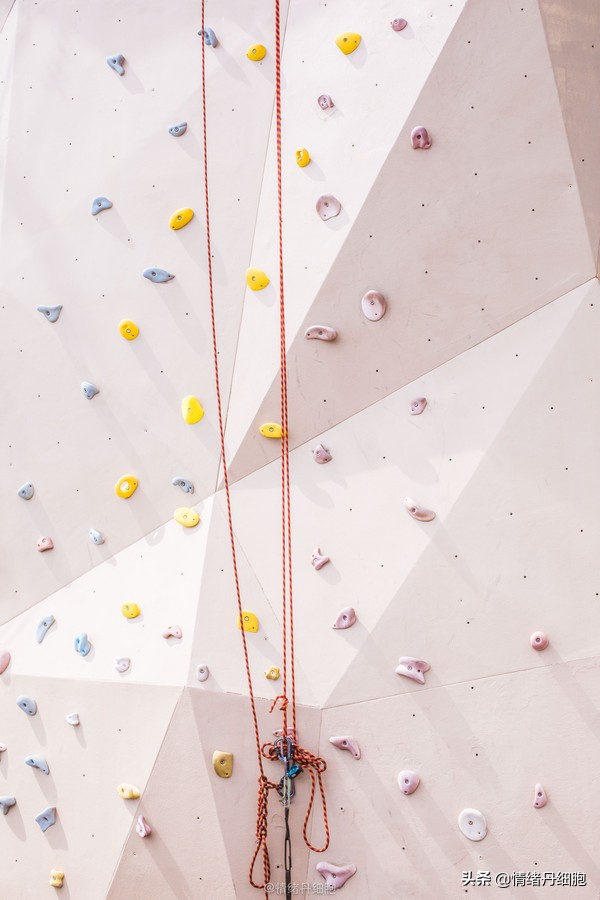 邮轮游选择哪个游轮好,邮轮旅游全攻略公主号