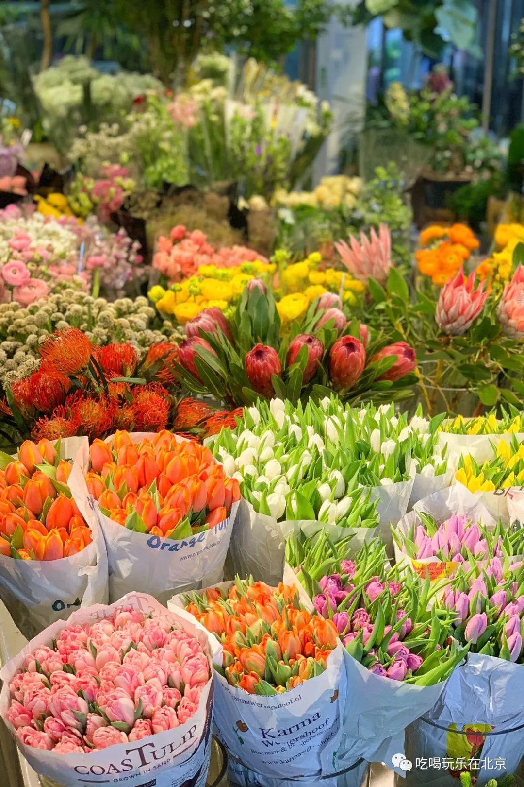 北京崇文区西花市大街,北京通州花市在哪里