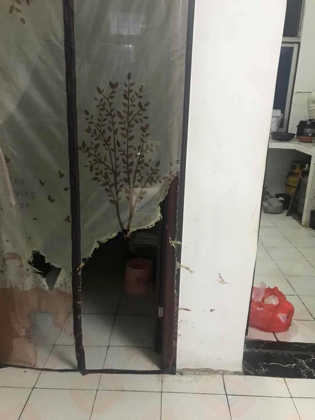 女生被雷劈中的几率是多少,深圳女子在家被雷劈倒