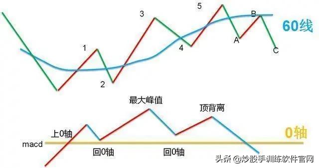 像乌龟一样趴着炒股,像麻雀一样的股票
