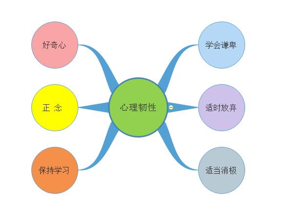 成功者的心理韧性,成功人士的心理标配