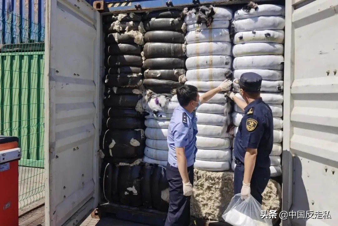 国门利剑打击走私专项行动,国门利剑2018全集