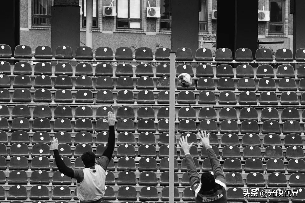 2022年度的ipa摄影大赛获奖作品,2020ippa摄影大赛奖项公布