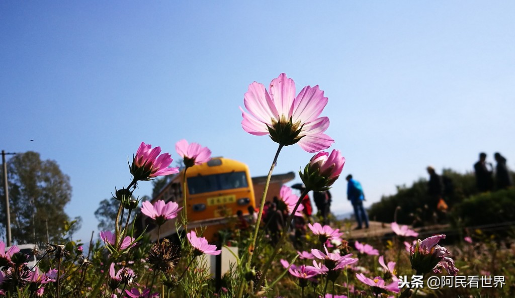 云南普者黑元阳坝美6天旅游攻略,云南建水普者黑旅游路线