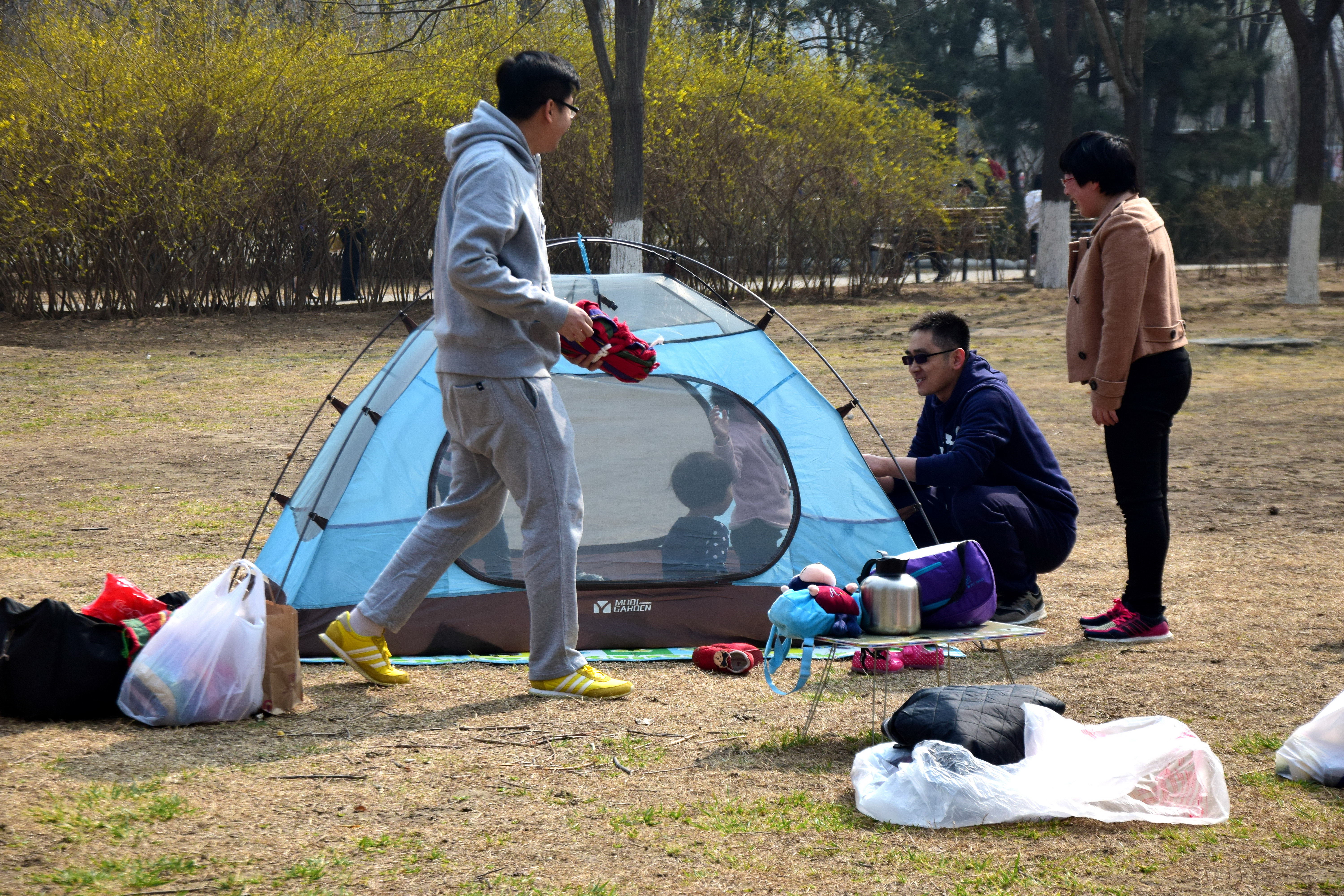 北京奥森让搭帐篷吗,奥森公园禁止营业吗