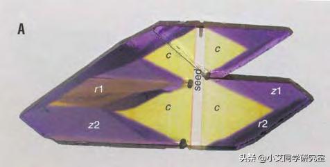 揭秘珠宝鉴定师的秘密,珠宝鉴定小常识