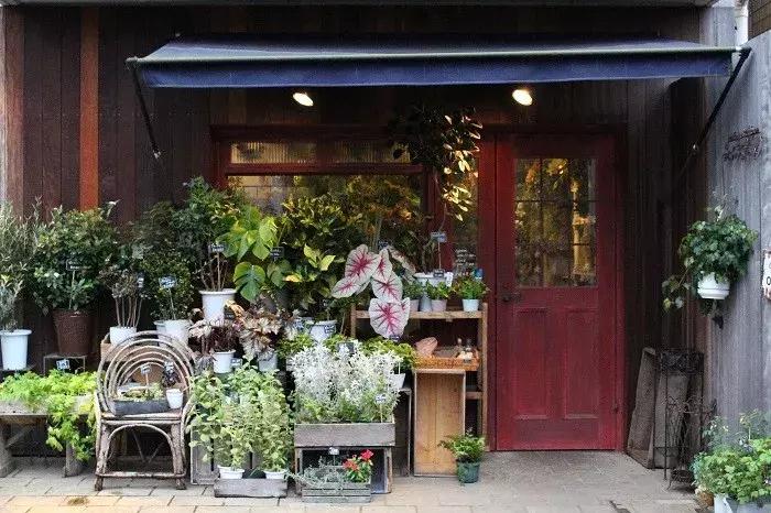 日本最有名的花店,日本青山花店