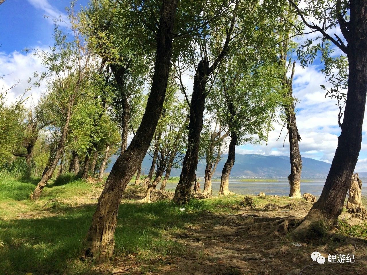 环海公路好看的图片,西南风景图片横图