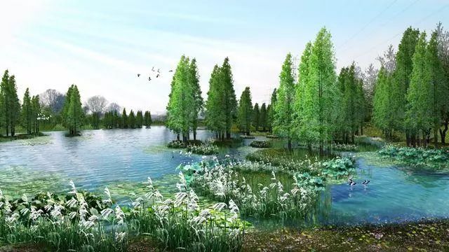 武汉最新的好消息,武汉近期好消息