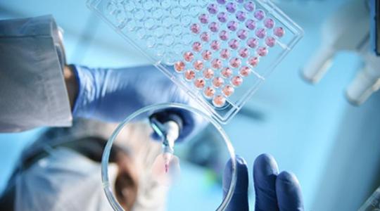 癌症没有所谓根治的概念，如果超过5年没有复发，就算是治好了？