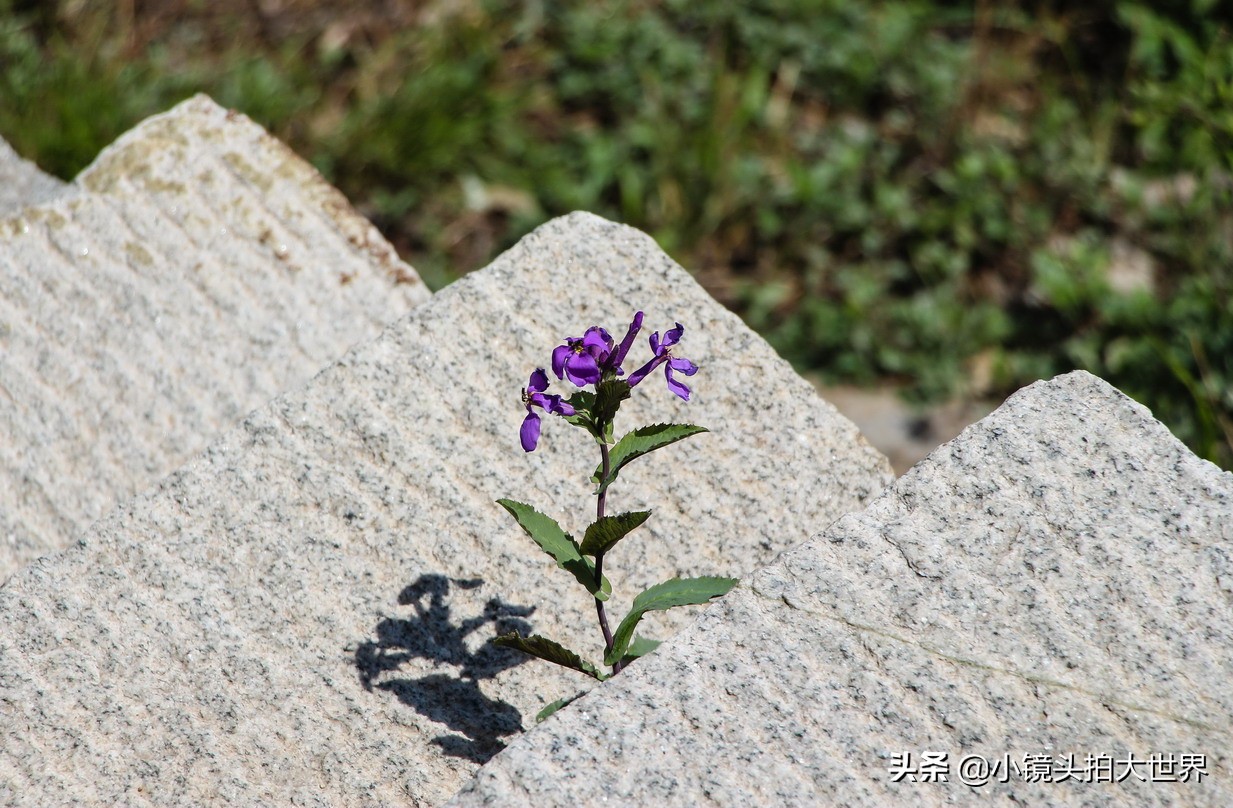 泰安泰山区天烛峰路,山东泰安泰山风景区天烛峰