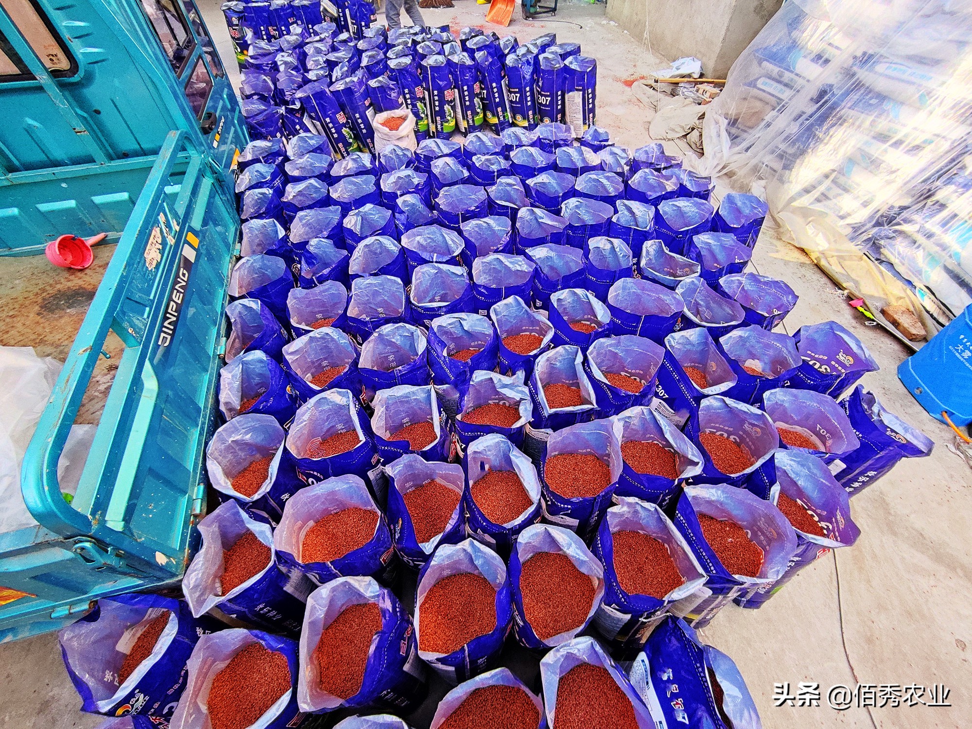 业内人透露小麦种子的“秘密”:改小包装提高价格,反受农民欢迎