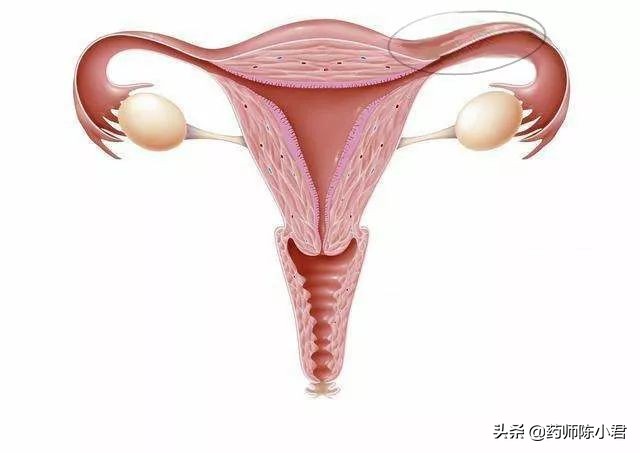 肚子变大,你可能是生病了