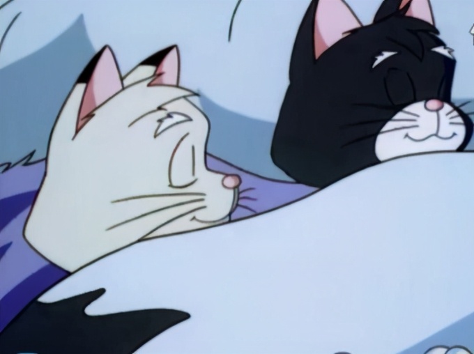 小贝流浪记，国内“最具教育意义的动画”，成就了一只会飞的猫