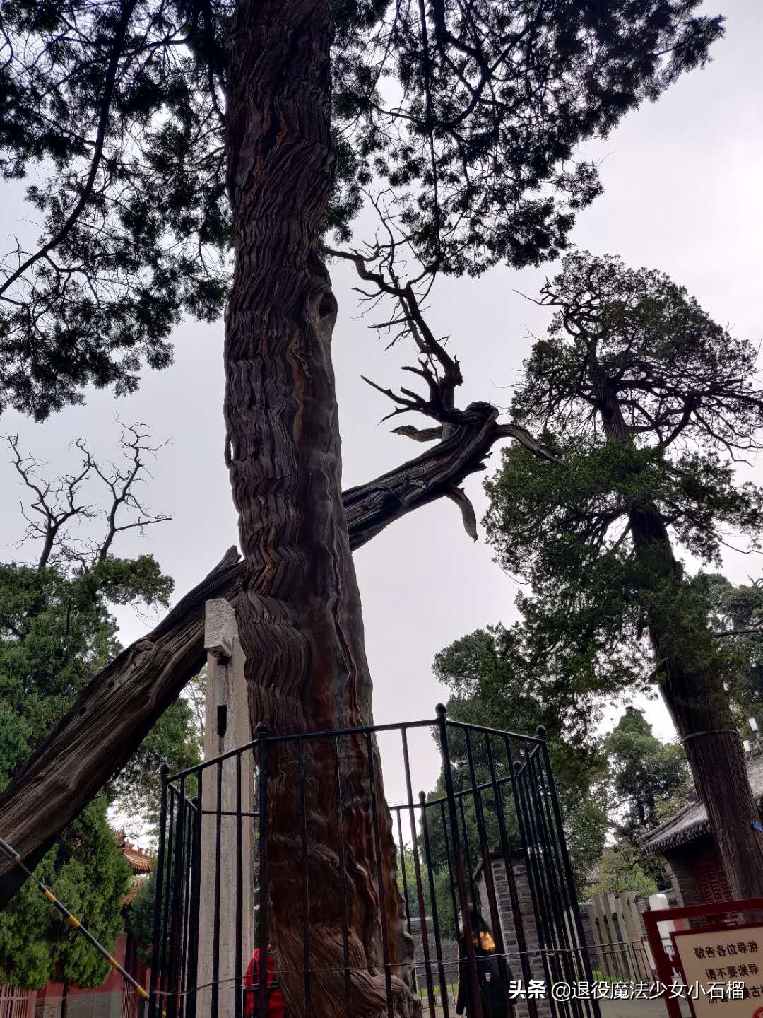 可移动的家Day12曲阜孔庙