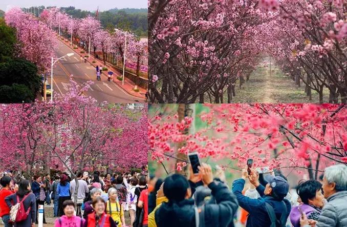 他送的情人节礼物,我居然过敏!