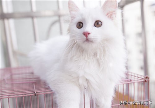 现在有什么投资小的创业项目,现在投资小回报大的行业有哪些