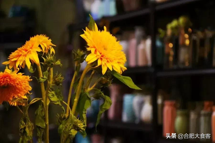 <html>
<head><title>502BadGateway</title></head>
<body>
<center><h1>502BadGateway</h1></center>
<hr><center>nginx</center>
</body>
</html>
<!--apaddingtodisableMSIEandChromefriendlyerrorpage-->
<!--apaddingtodisableMSIEandChromefriendlyerrorpage-->
<!--apaddingtodisableMSIEandChromefriendlyerrorpage-->
<!--apaddingtodisableMSIEandChromefriendlyerrorpage-->
<!--apaddingtodisableMSIEandChromefriendlyerrorpage-->
<!--apaddingtodisableMSIEandChromefriendlyerrorpage-->
