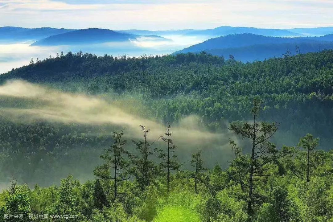 解读谜一样的大兴安岭，触手可及却又掩着神秘的面纱不肯轻易示人