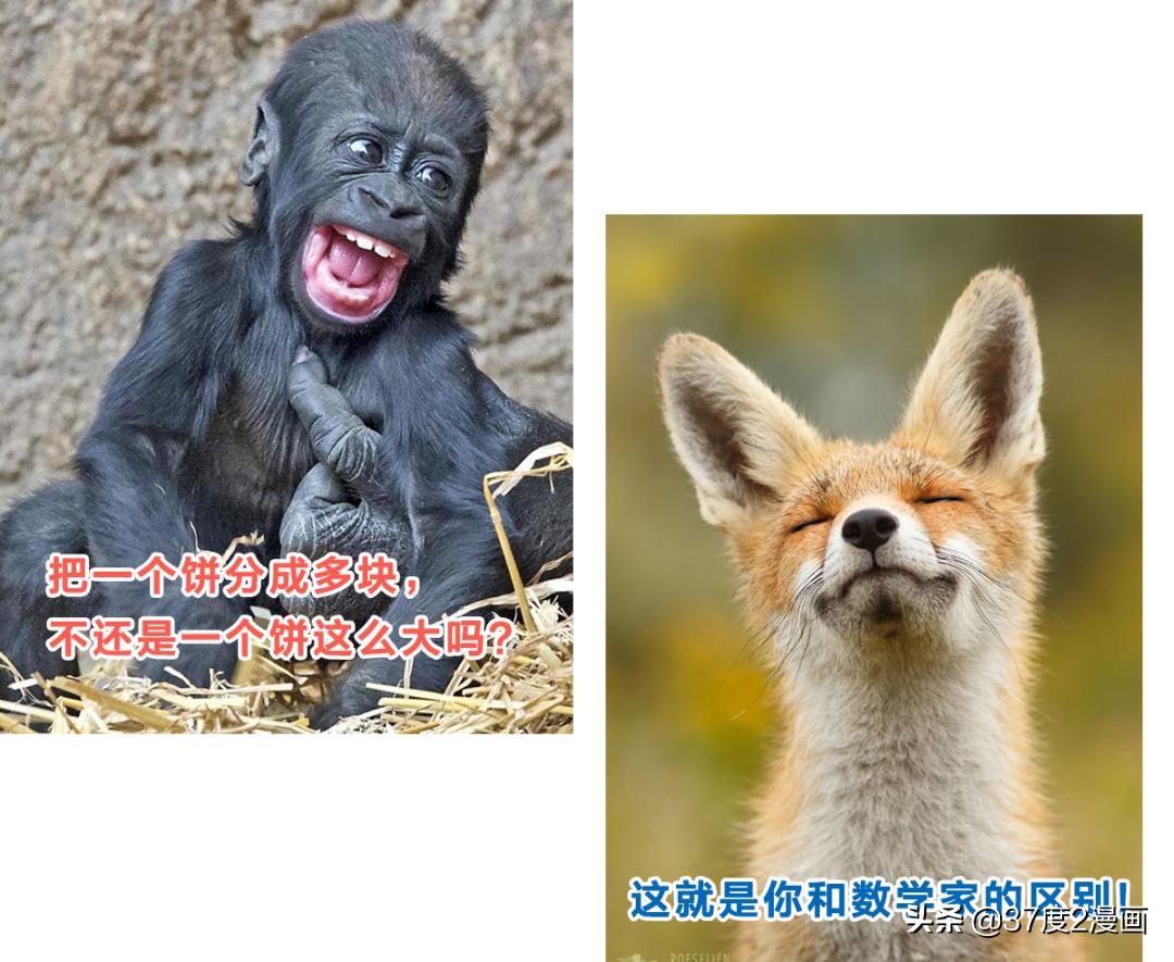 三国没你想象的落后！解方程、球体公式、飞行器了解下吧