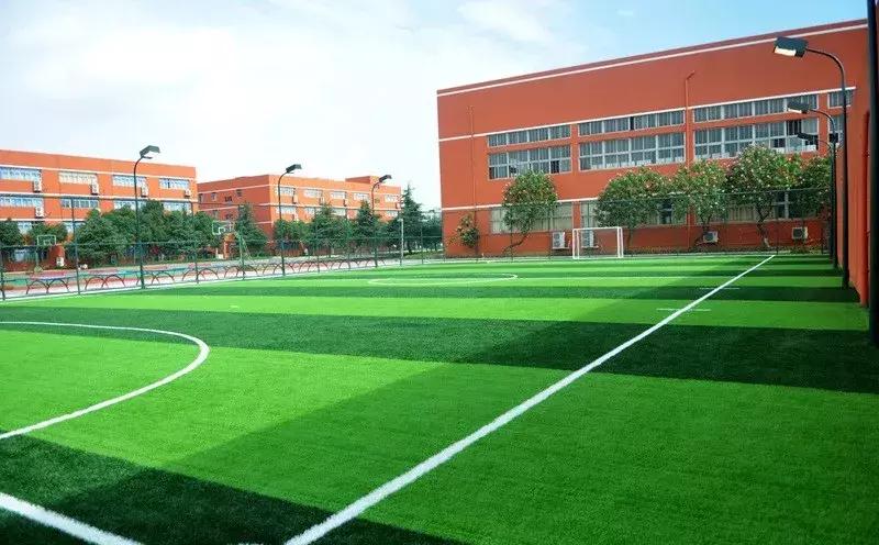 温州鹿城区最差的十所小学,整个温州地区最好的中学