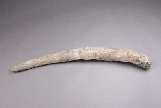 殷墟甲骨的发现,殷墟发现的诡异事件