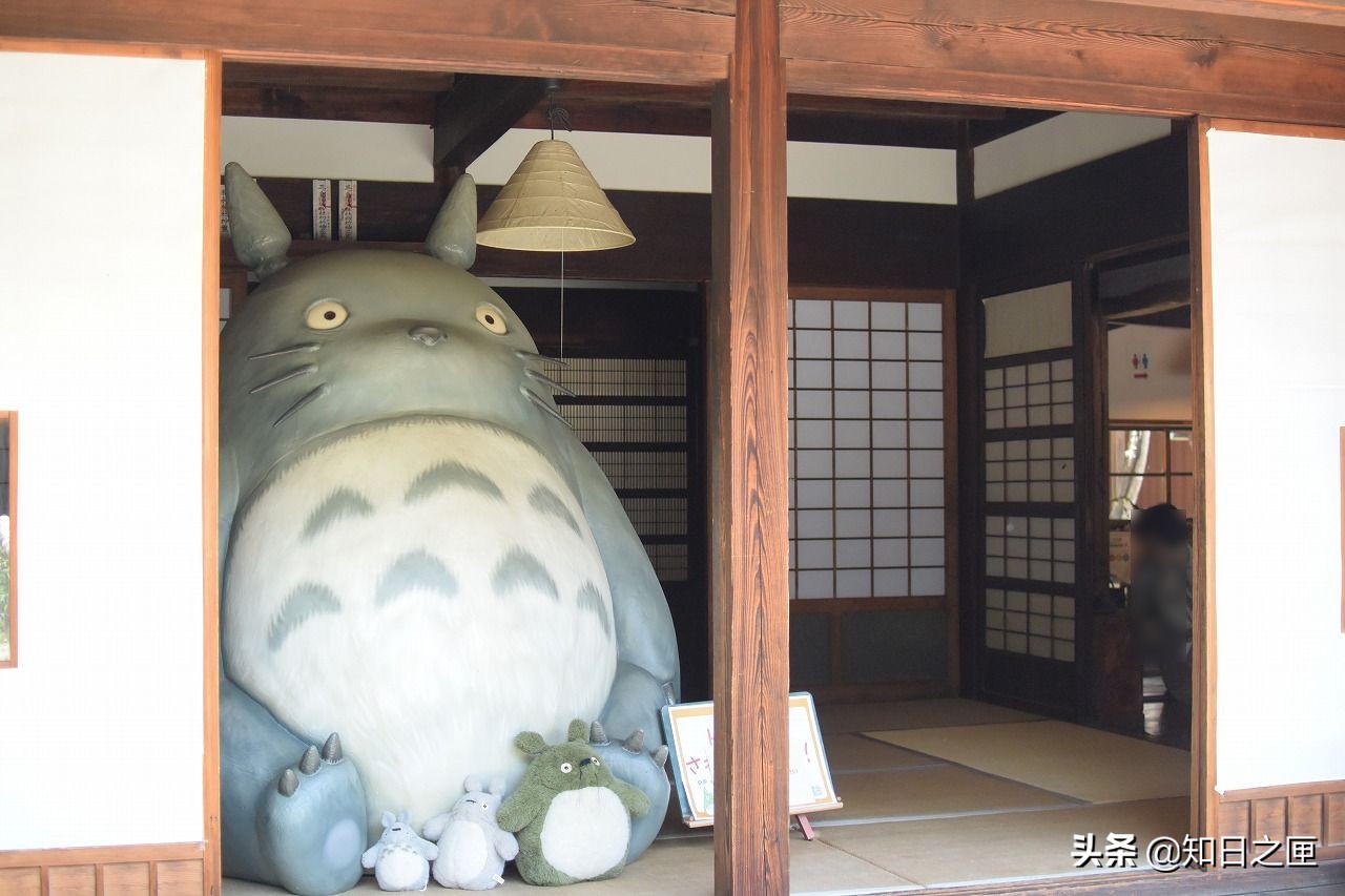 龙猫在日本的什么地方 (萤火之森和龙猫)