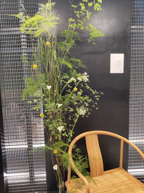 深圳免费花艺展,深圳花艺展