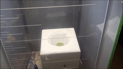 工程师制作闪光臭屁包裹，专治偷快递的*贼毛**