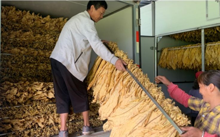 云南云美村：怎样靠丰收告别了贫困？