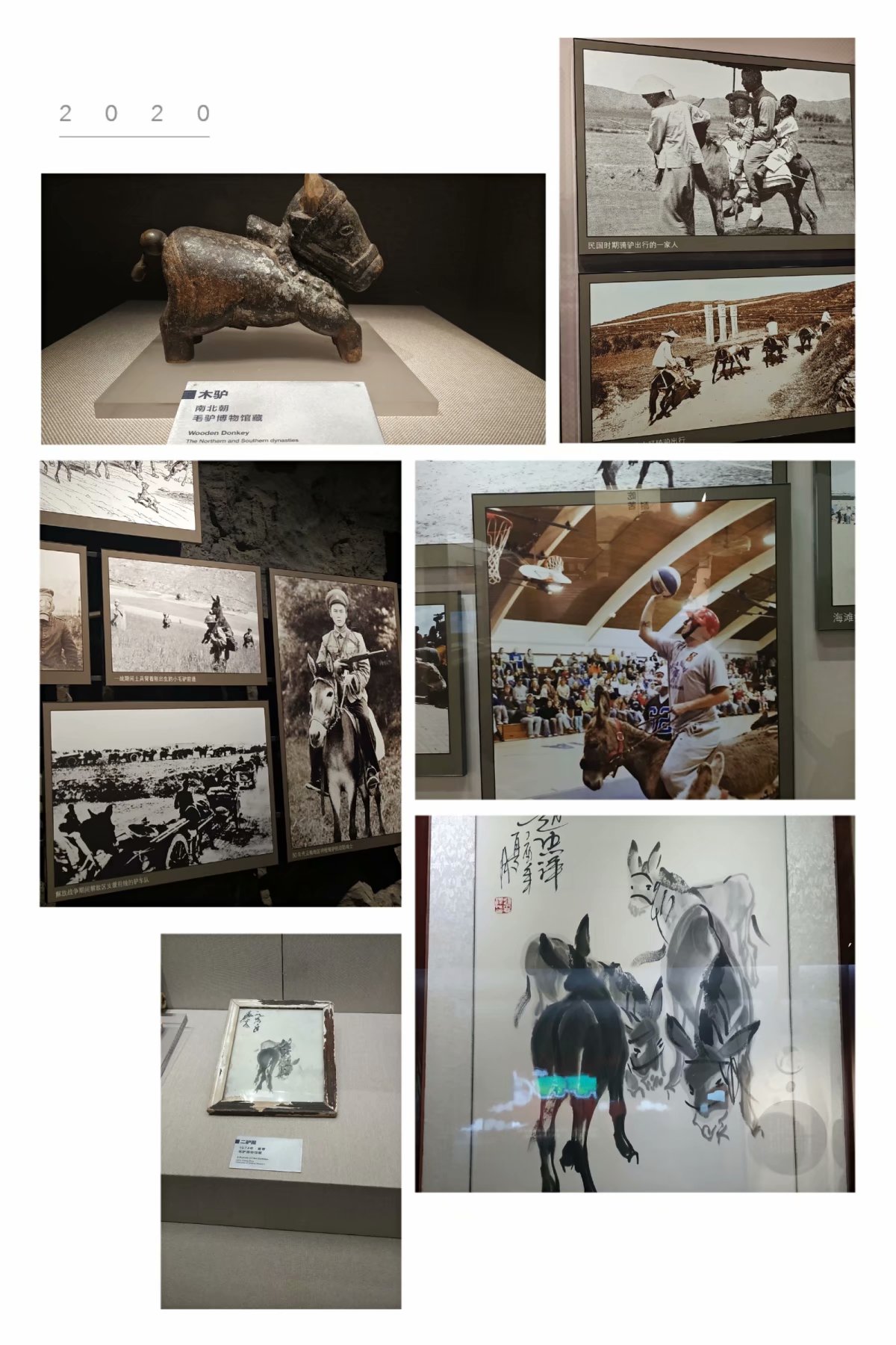 东阿大美之行,阳谷一日游的路线攻略