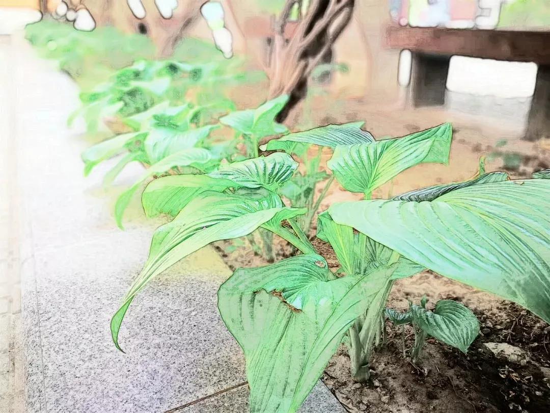 天津高级中学,天津市第二南开中学录取分数线