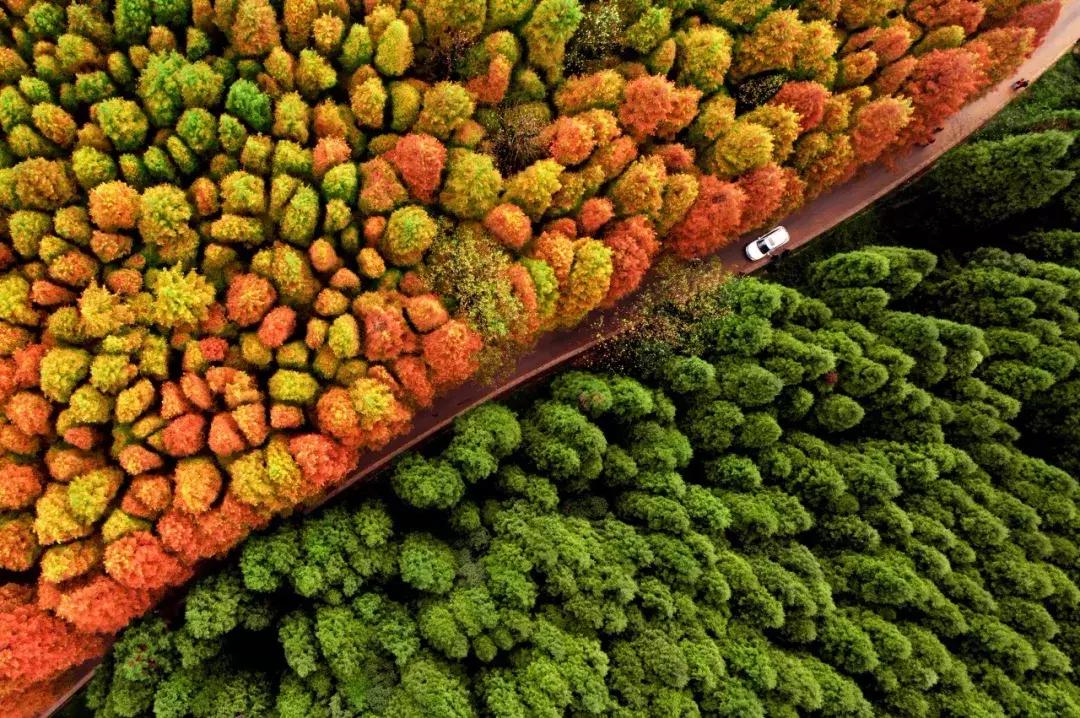 2019必去的旅行地,8月最新旅行地推荐