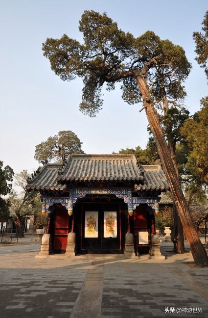 山东曲阜孔府游记,夜游孔子故里曲阜