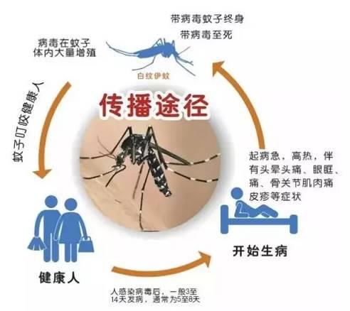 反复高烧可能是艾滋病吗,登革热反复发烧补充电解质
