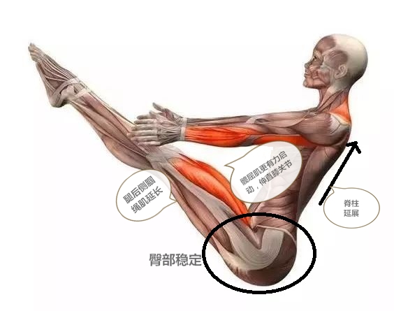 瑜伽沉腰拱背到底怎么做,瑜伽的船式平衡感怎么练