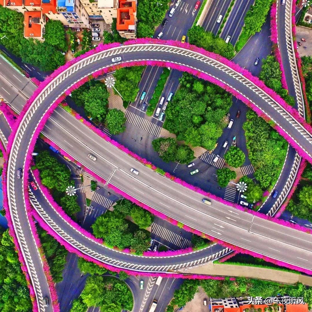 什么是麻精药品定义,什么是桃子女孩