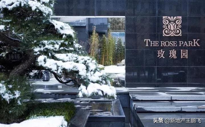 *瑰园玫**|曲江池畔的「叛逆少年」，匠心打磨的「凝固艺术」