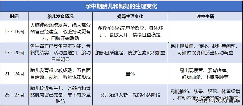 孕期需要了解的10件事,孕期知识大全集