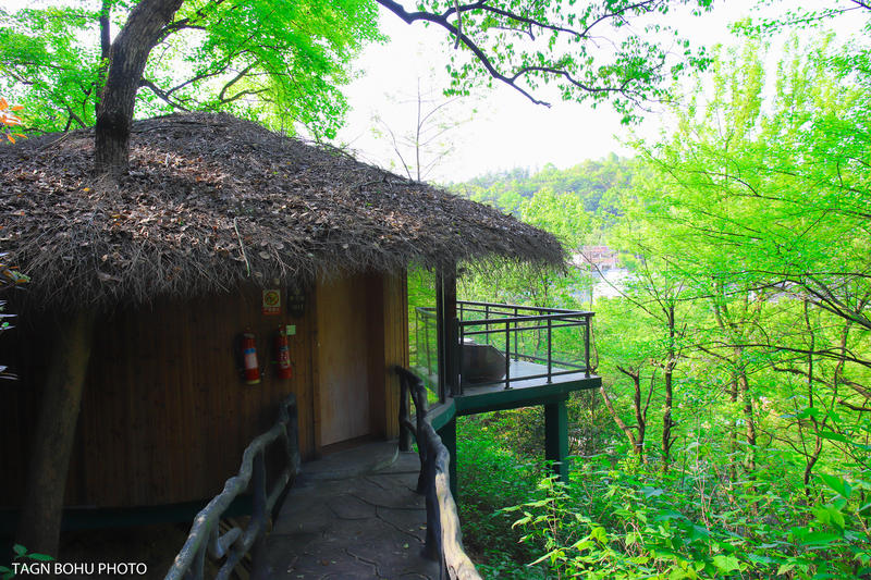 衢州常山春日旅游攻略,常山小众景点