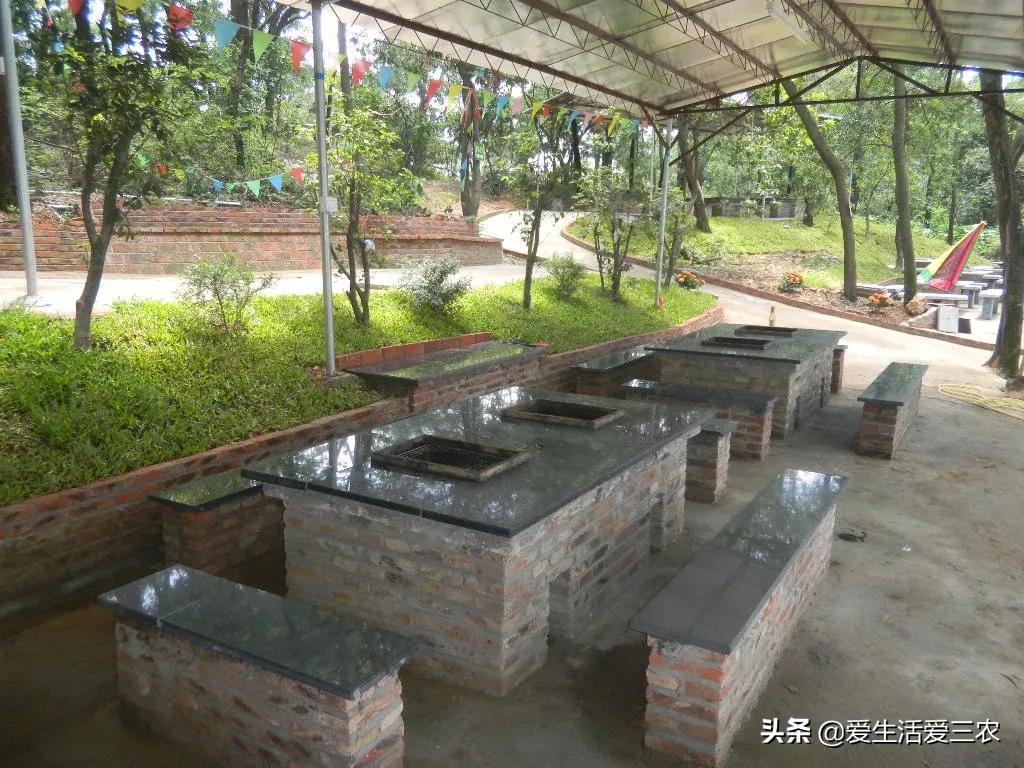 在农村如何致富,农村也能致富的小妙招