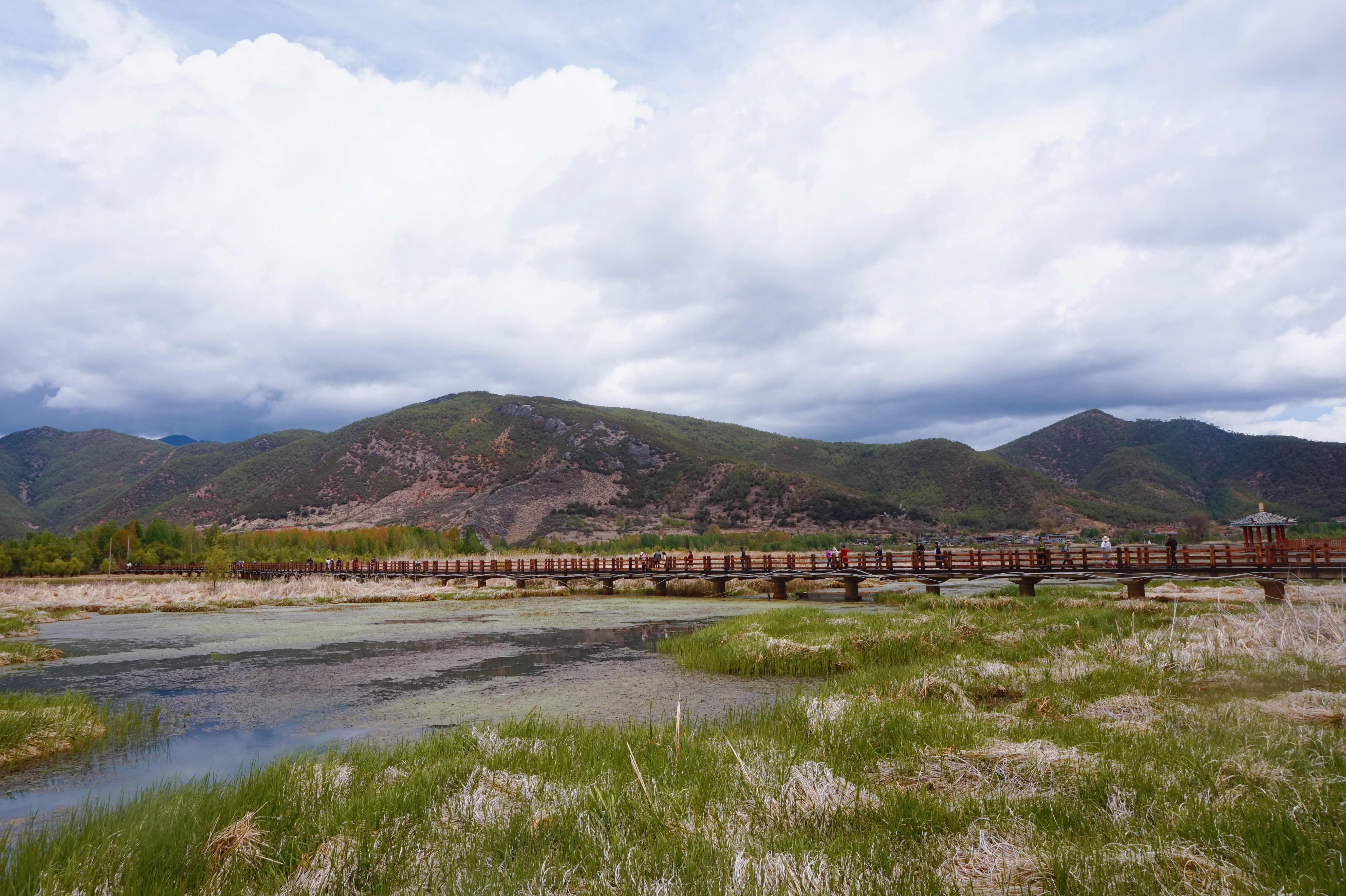 泸沽湖摩梭人美食,泸沽湖母亲的湖