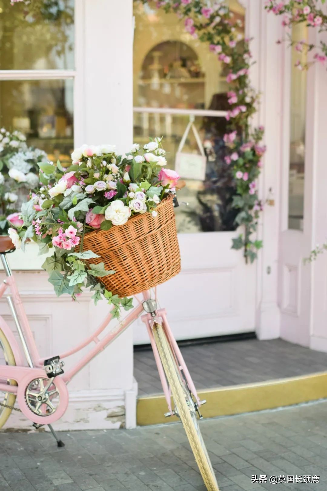 520/521：五月阳光下，伦敦依然盛放。记得常回来看看