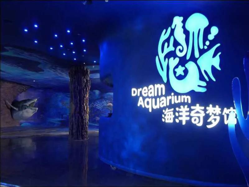 深圳暑假值得带孩子旅游的地方,深圳十大暑假室内必去景点