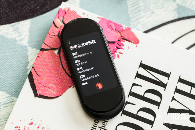 有道翻译王3.0pro青春,有道翻译官pro2.0